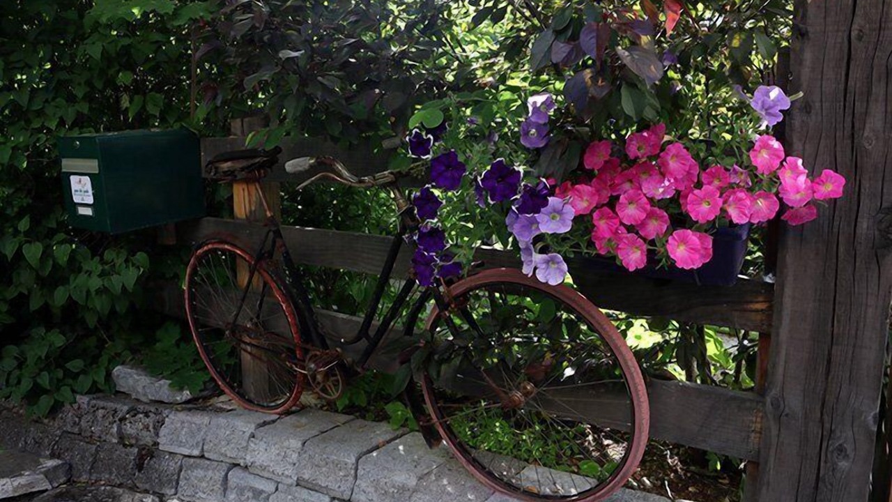 Photo of Outdoor in Jausiers