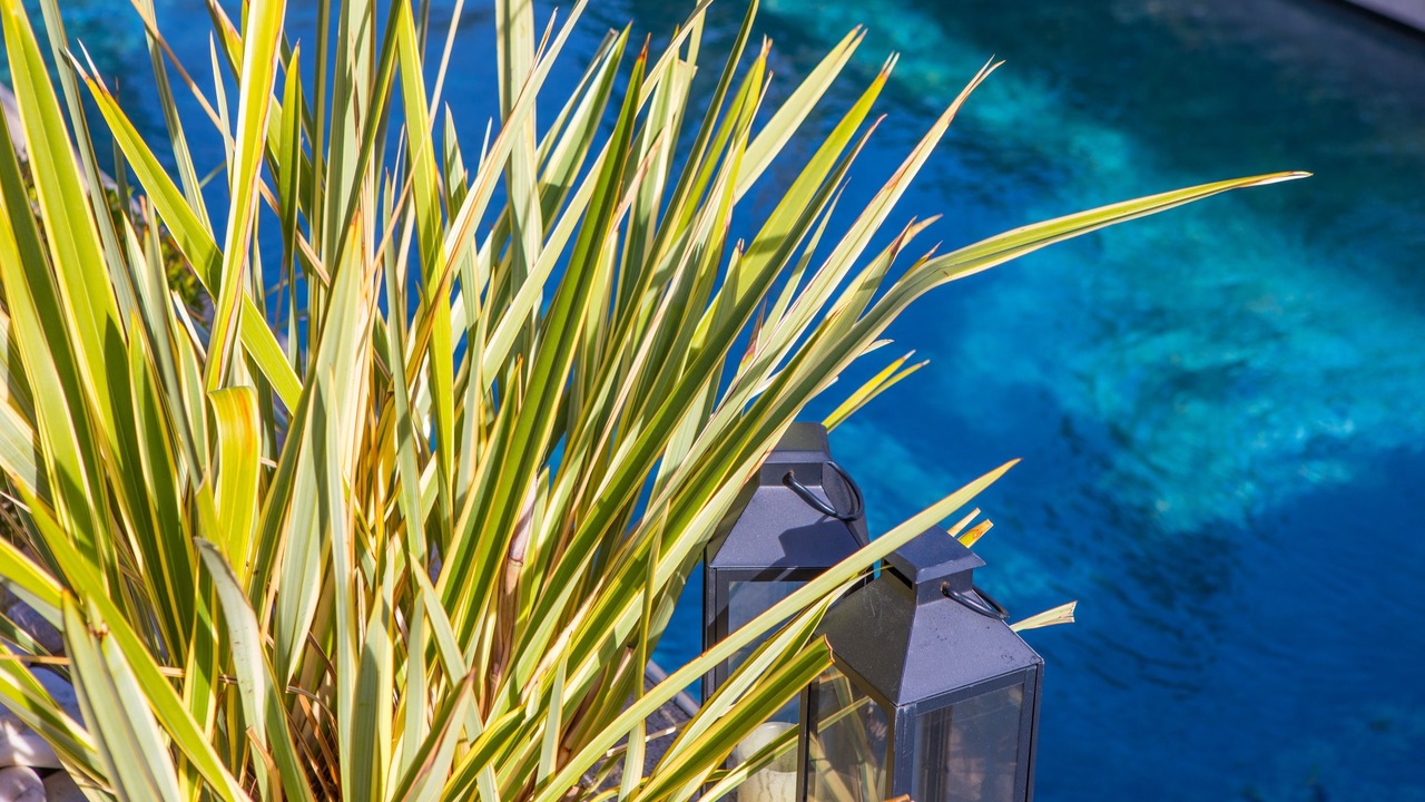 Photo of Outdoor in Saint-Tropez