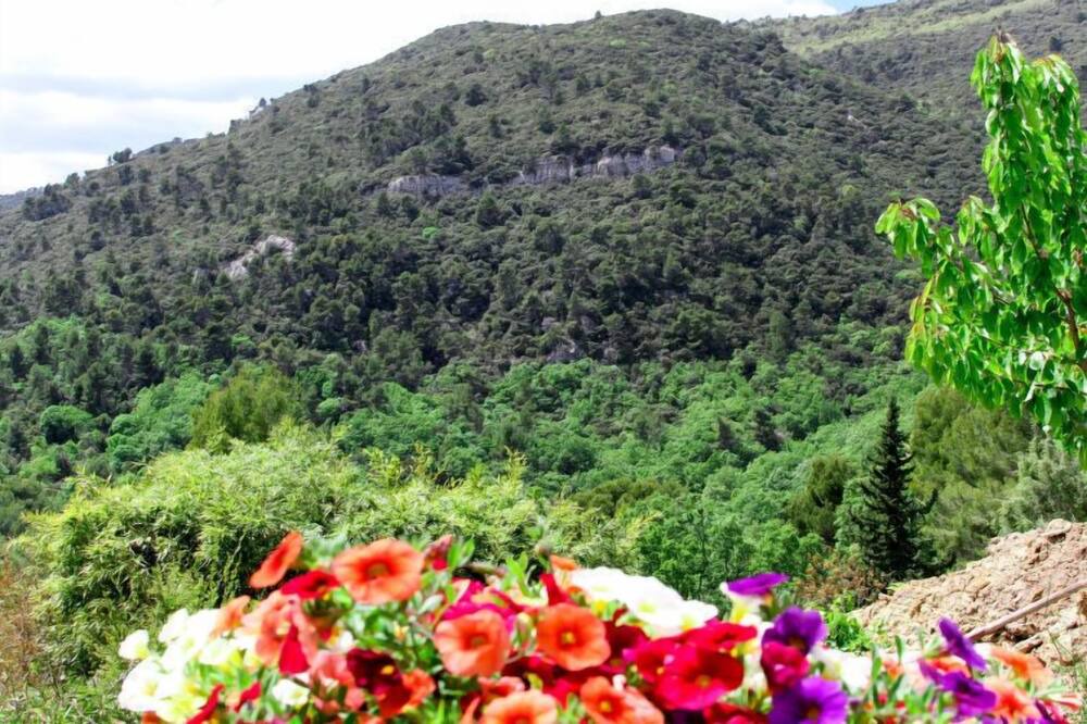 Photo of Outdoor in Seillans