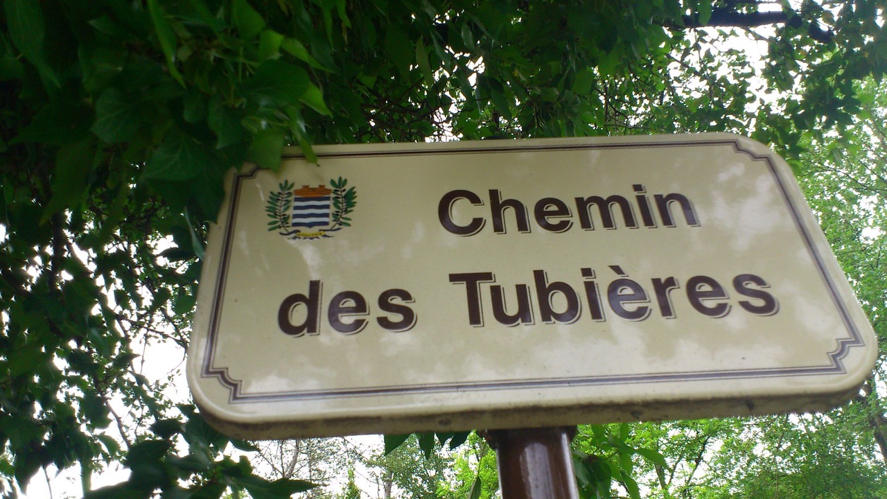 Photo of Outdoor in Bagnols-en-Foret