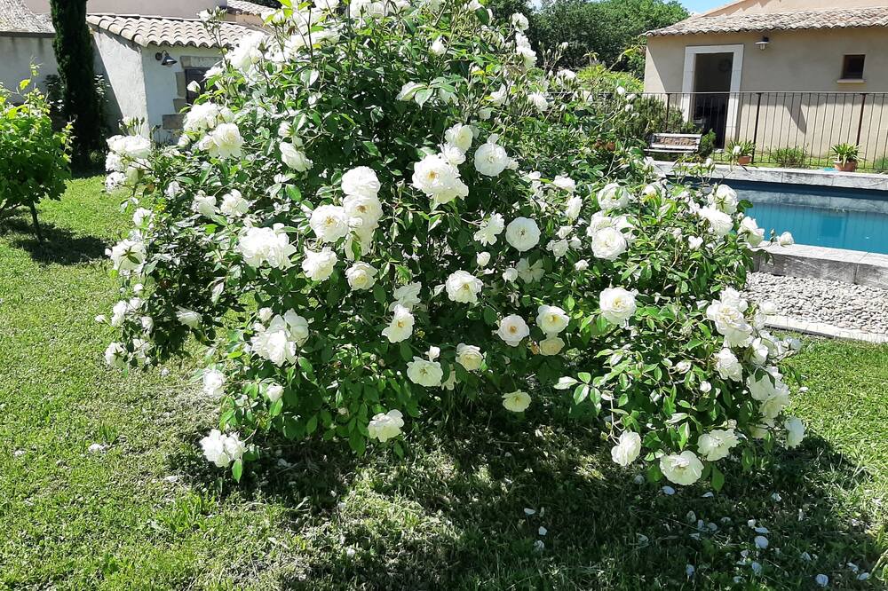 Photo of Outdoor in Saint-Quentin-la-Poterie
