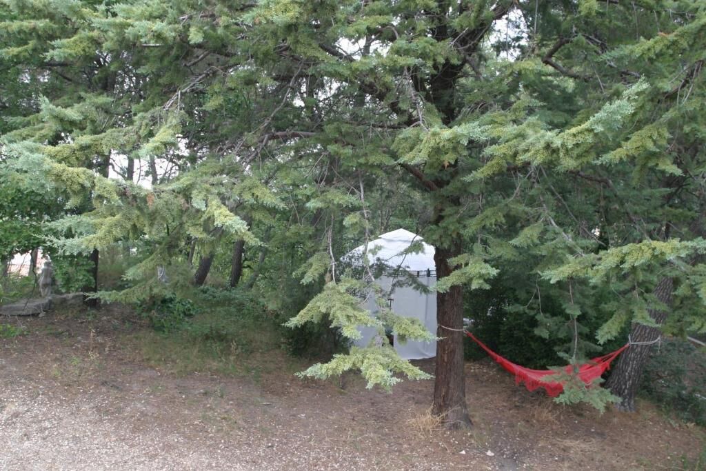 Photo of Outdoor in Mimet