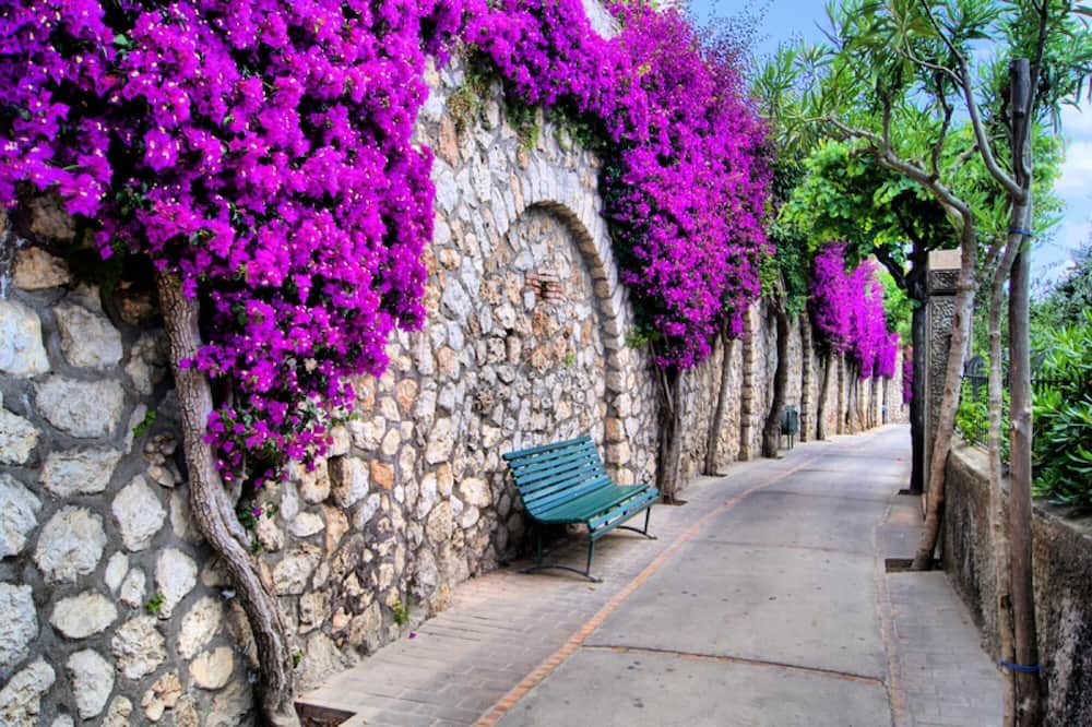 Photo of Outdoor in Marina del Cantone