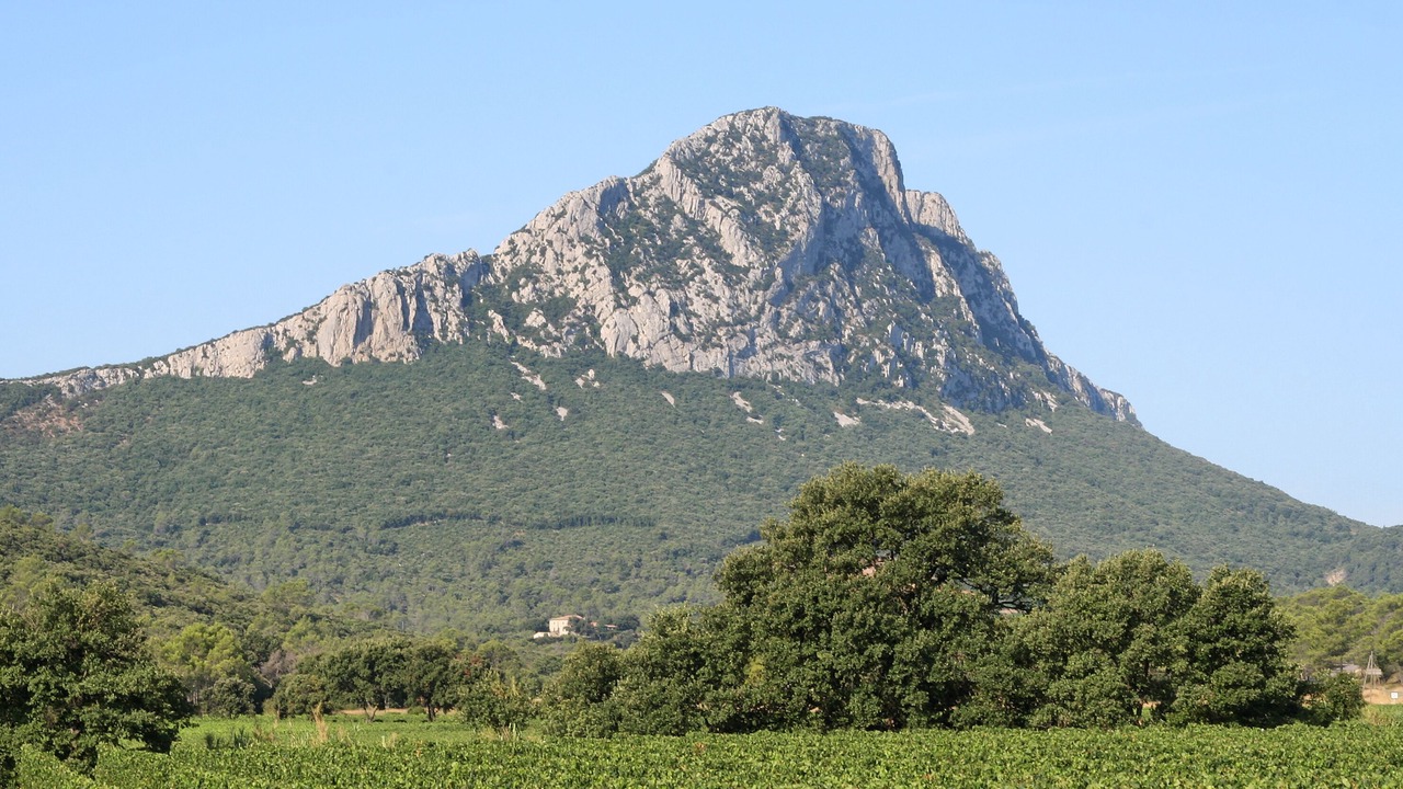 Photo of Outdoor in Saint-Gely-du-Fesc