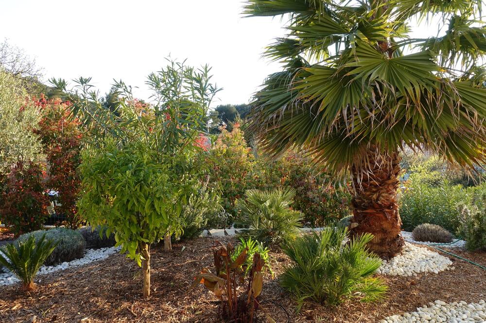 Photo of Outdoor in Ceyreste