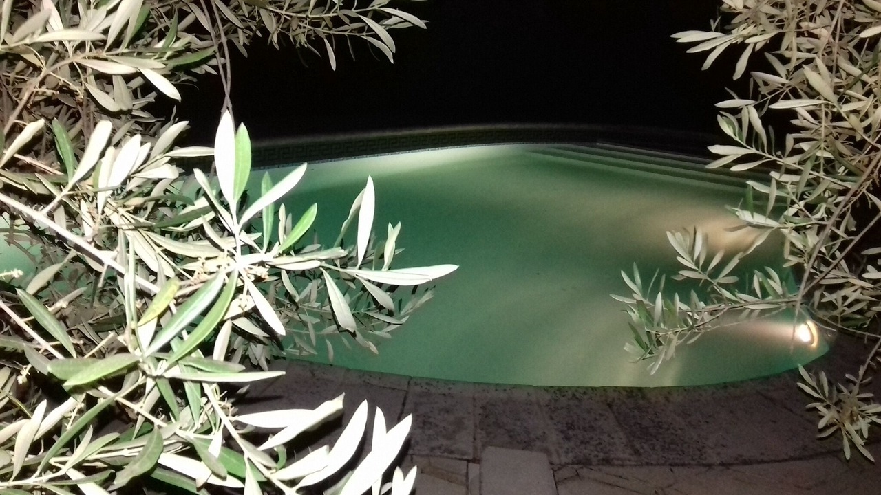 Photo of Outdoor in Caremeau