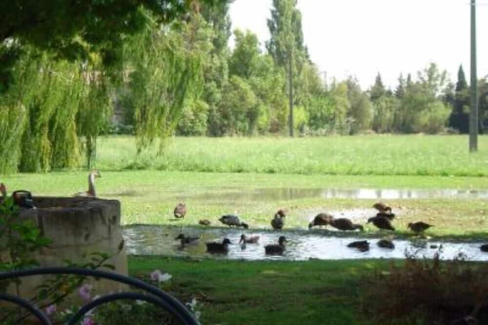 Photo of Outdoor in Arles