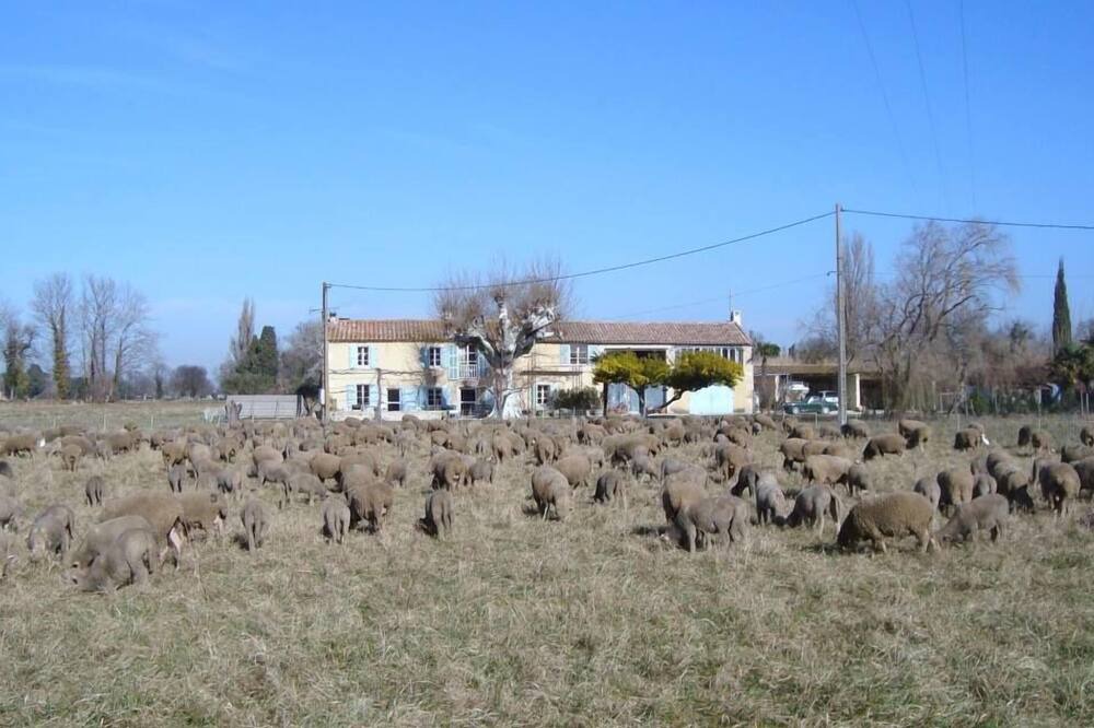 Photo of Outdoor in Arles