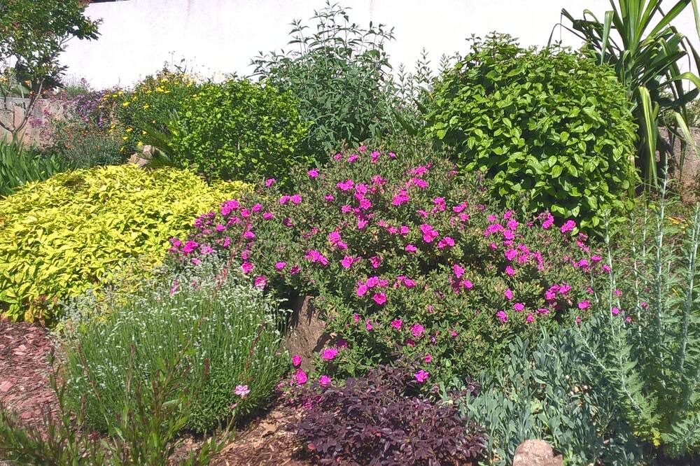 Photo of Outdoor in La Crau
