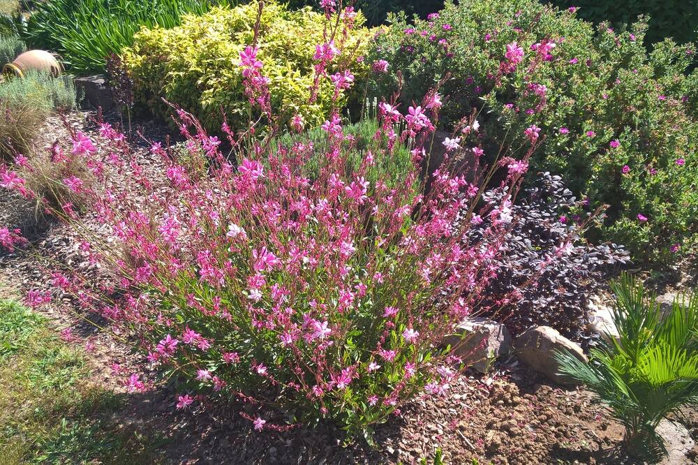 Photo of Outdoor in La Crau