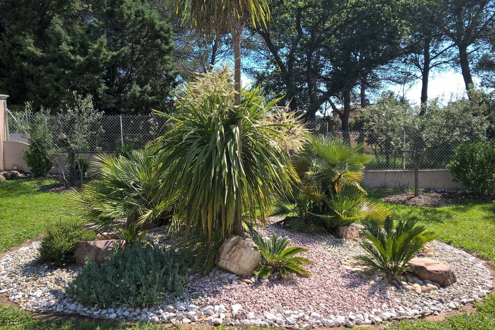 Photo of Outdoor in La Crau