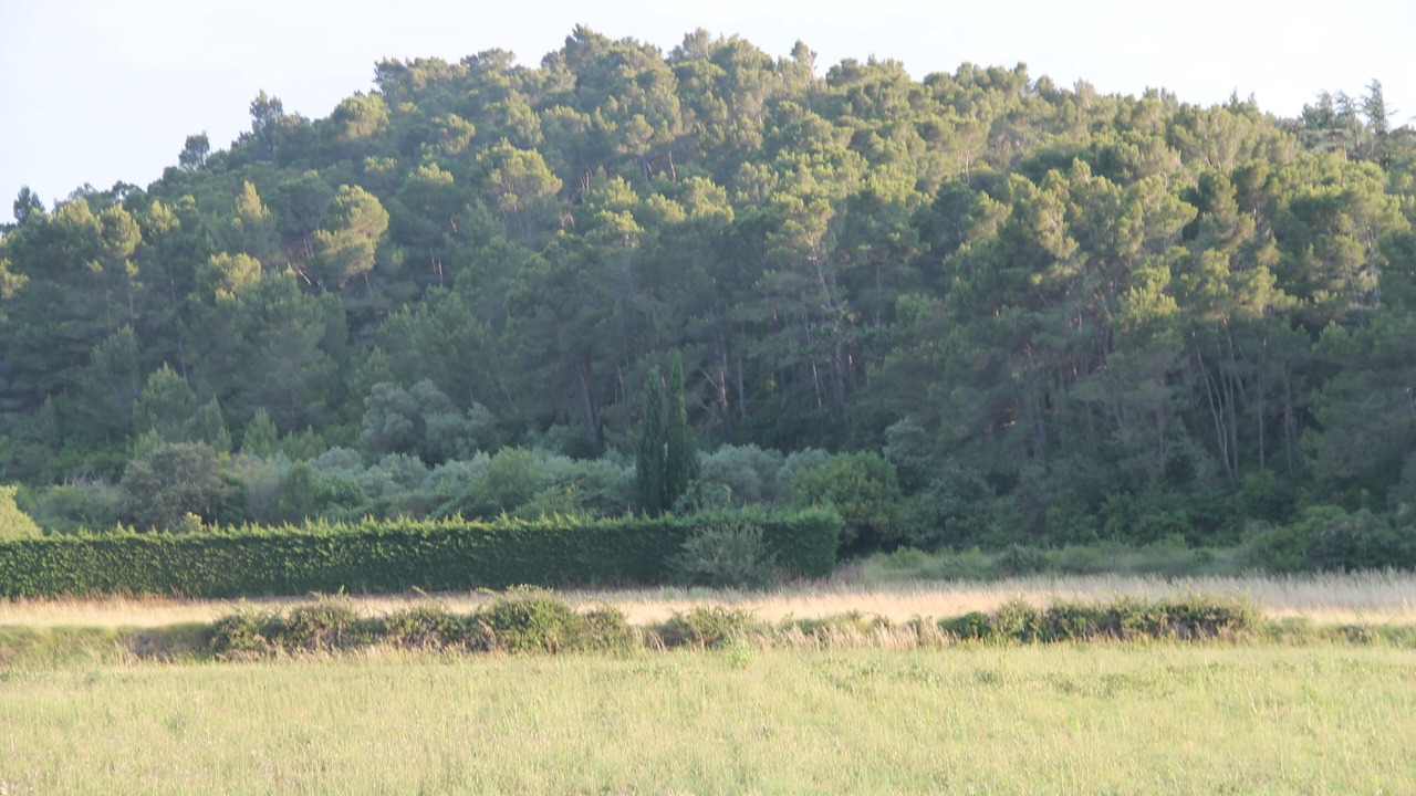 Photo of Outdoor in Nevian