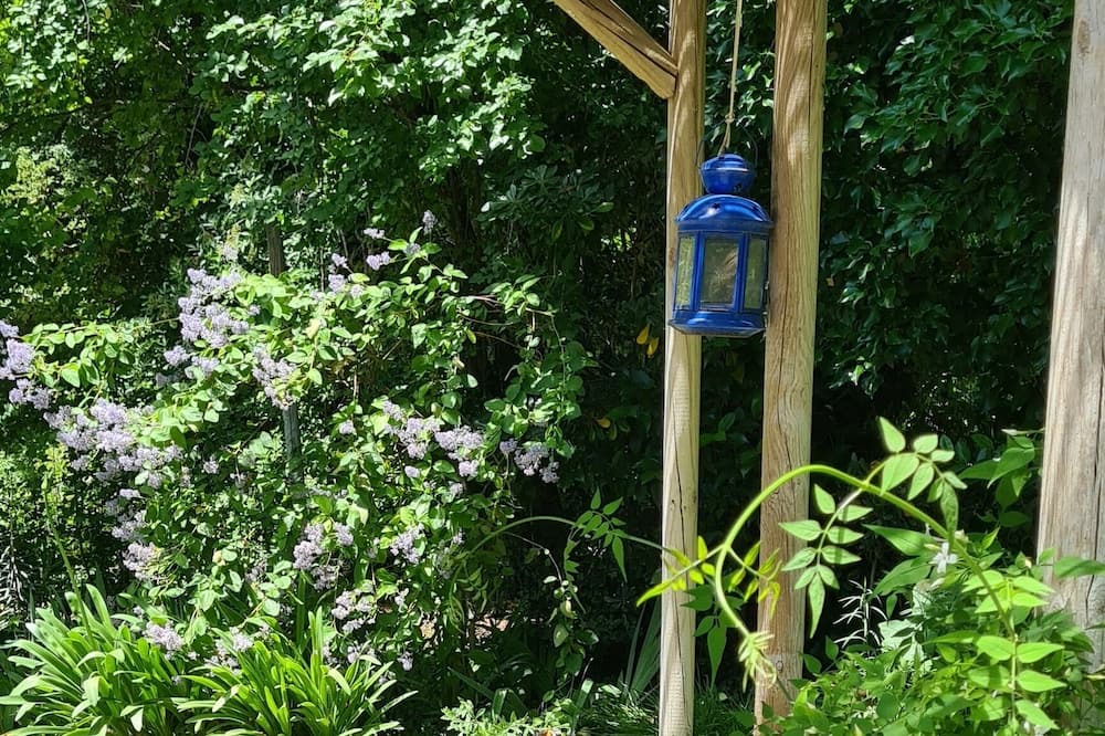 Photo of Outdoor in Cavaillon