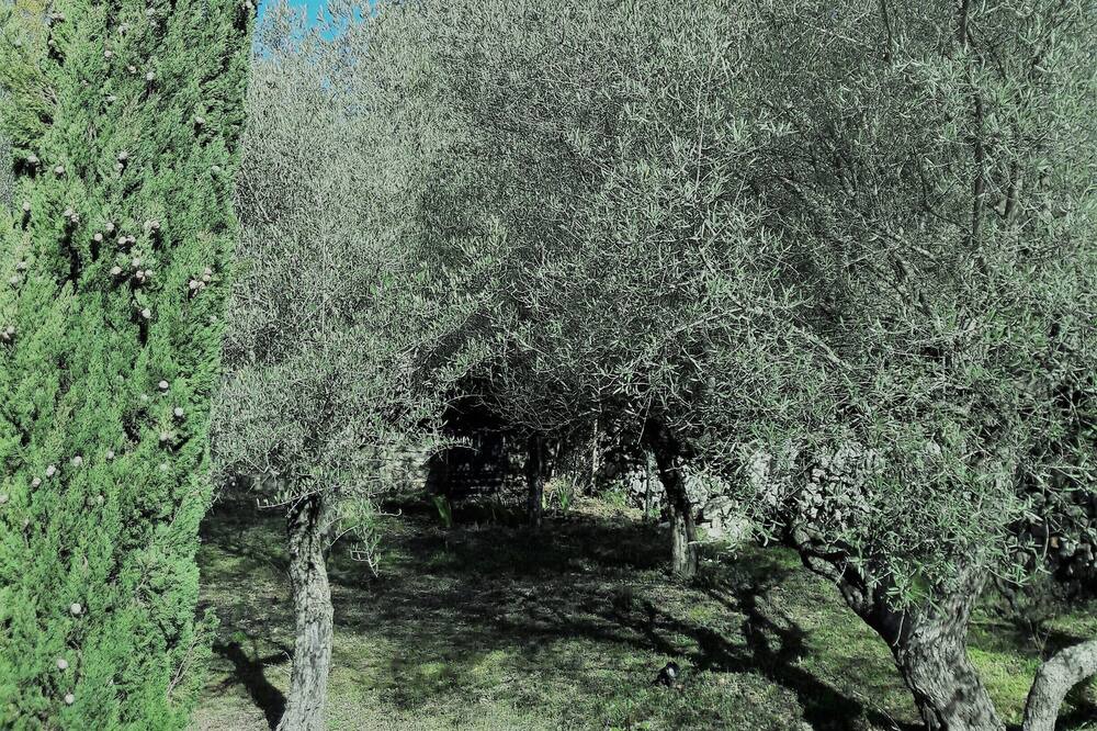 Photo of Outdoor in Saint-Quentin-la-Poterie