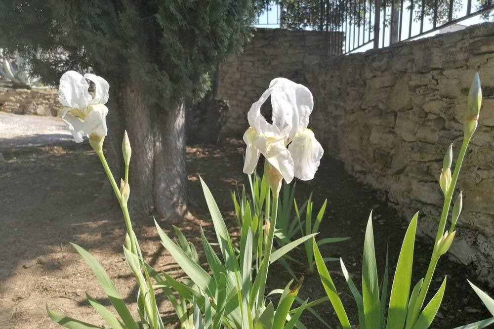 Photo of Outdoor in Saint-Quentin-la-Poterie