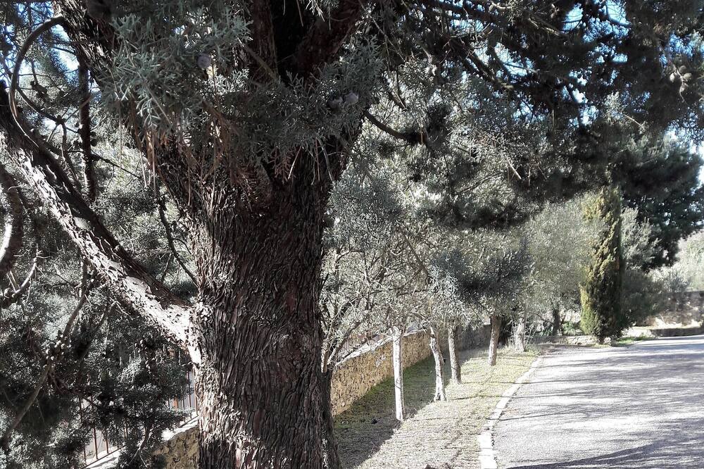 Photo of Outdoor in Saint-Quentin-la-Poterie