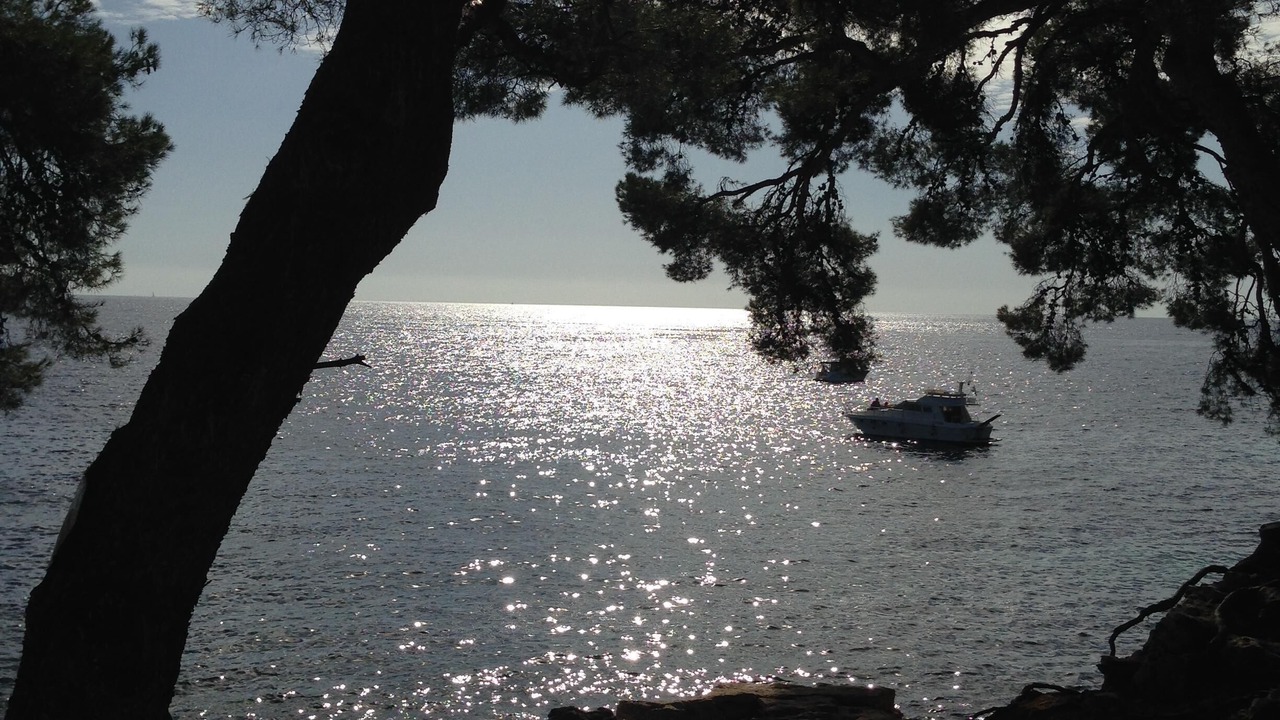 Photo of Others in Greasque