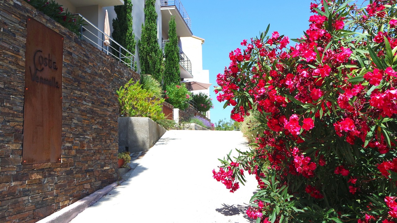 Photo of Outdoor in Cerbere
