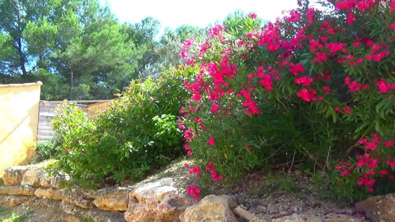 Photo of Outdoor in Lambesc