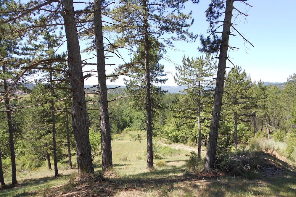 Photo of Outdoor in Digne-les-Bains