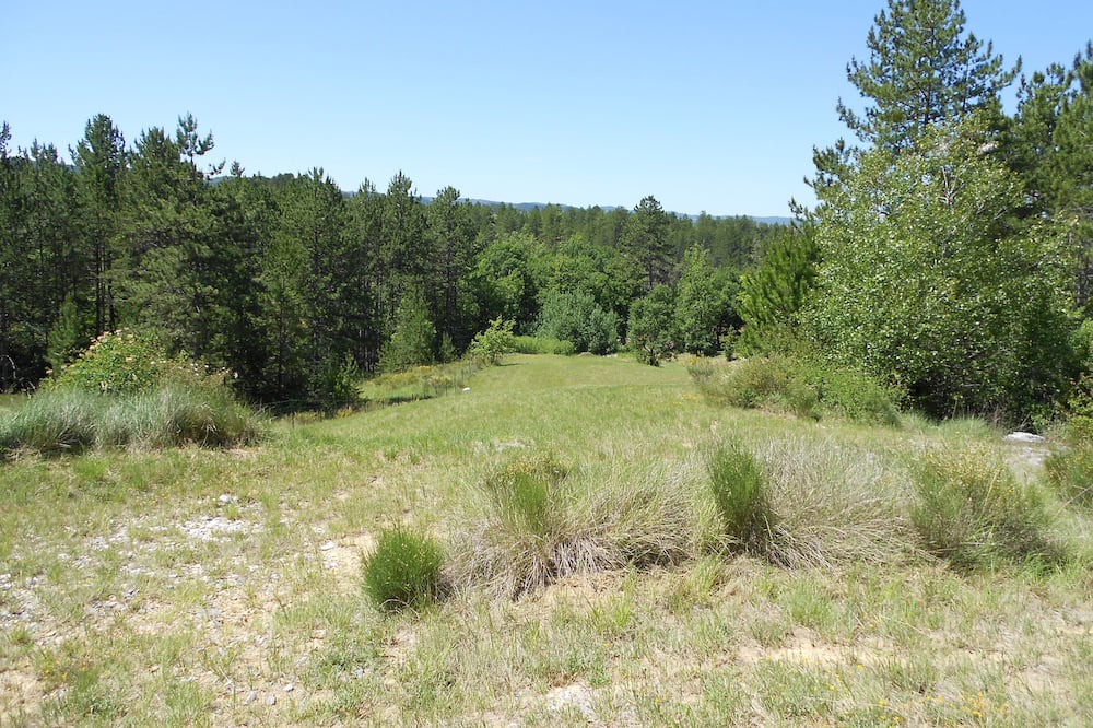 Photo of Outdoor in Digne-les-Bains