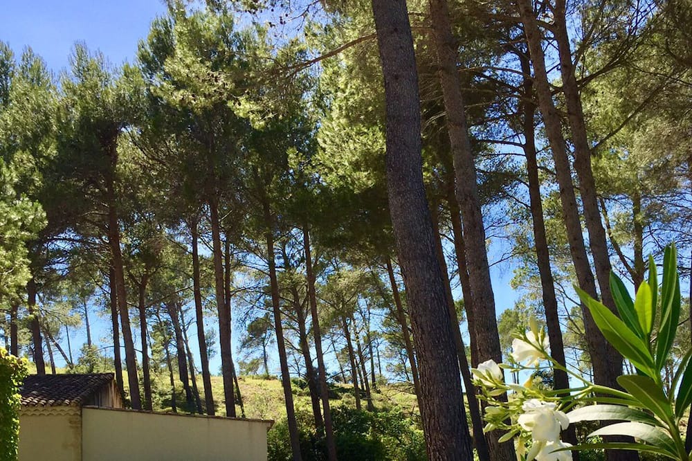 Photo of Outdoor in St.-Remy-de-Provence
