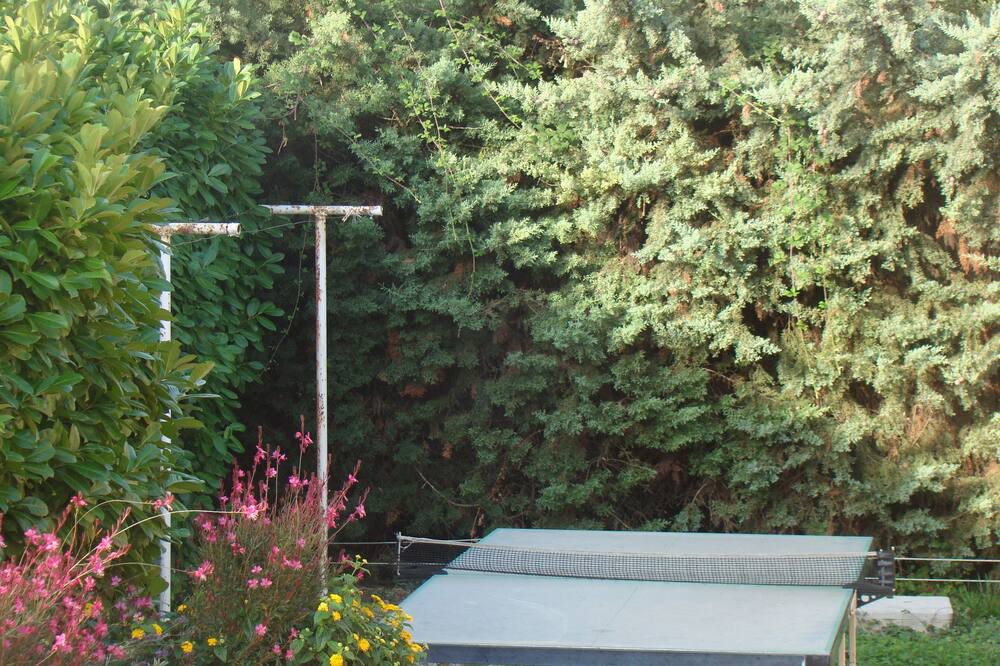 Photo of Outdoor in Cornillon-Confoux