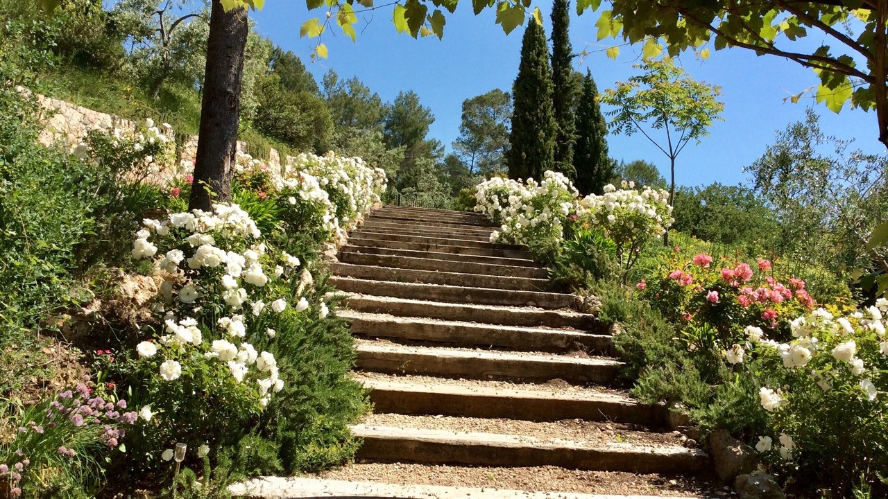 Photo of Outdoor in Tourrettes