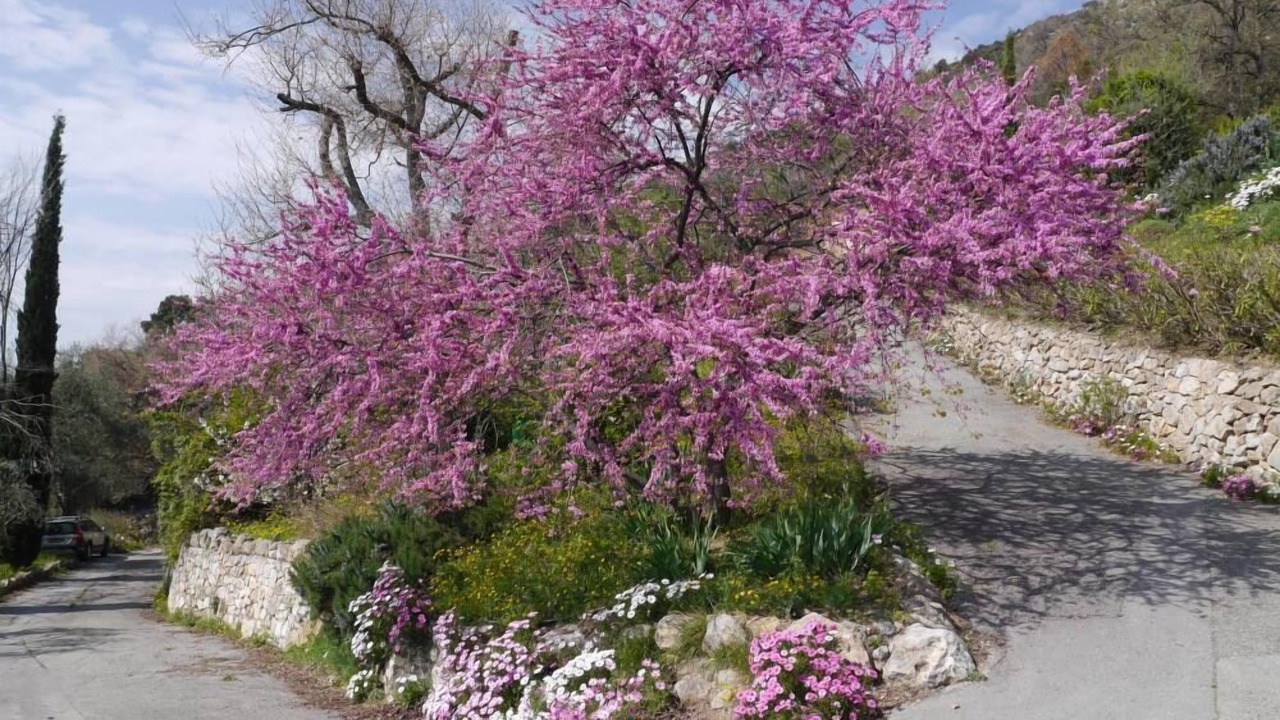 Photo of Outdoor in Gattieres
