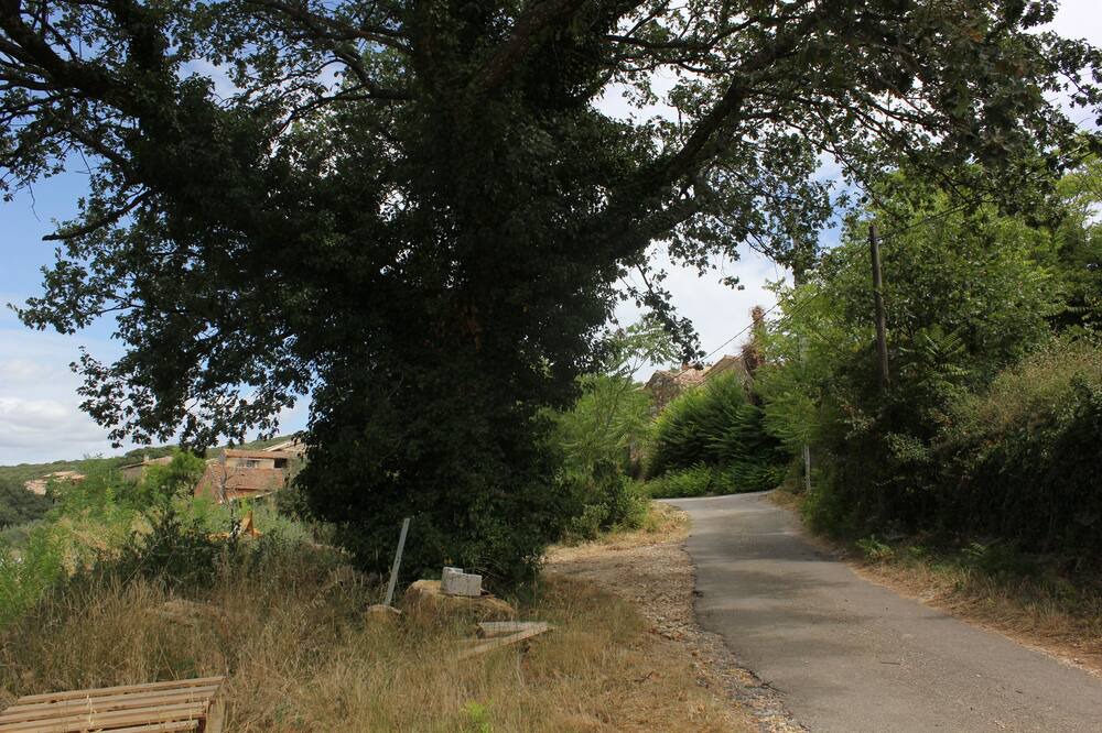 Photo of Outdoor in Baron
