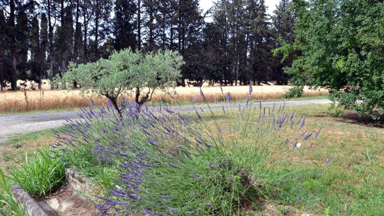 Photo of Outdoor in Cabannes