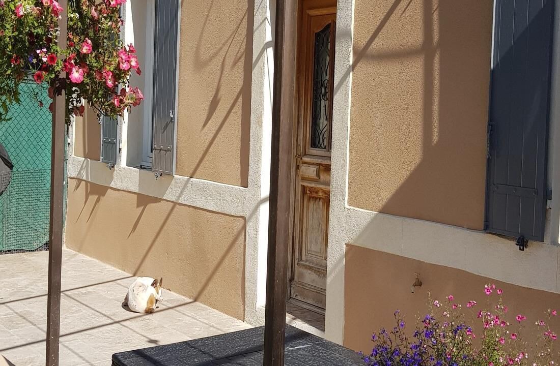 Photo of Outdoor in Noves