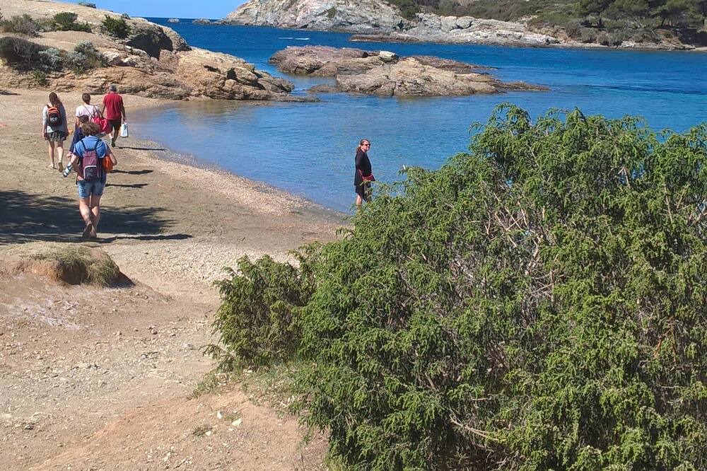 Photo of Others in Six-Fours-les-Plages