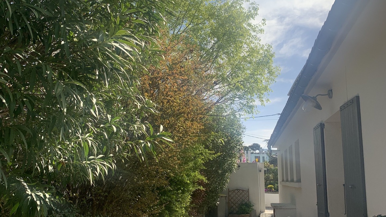 Photo of Outdoor in Sud