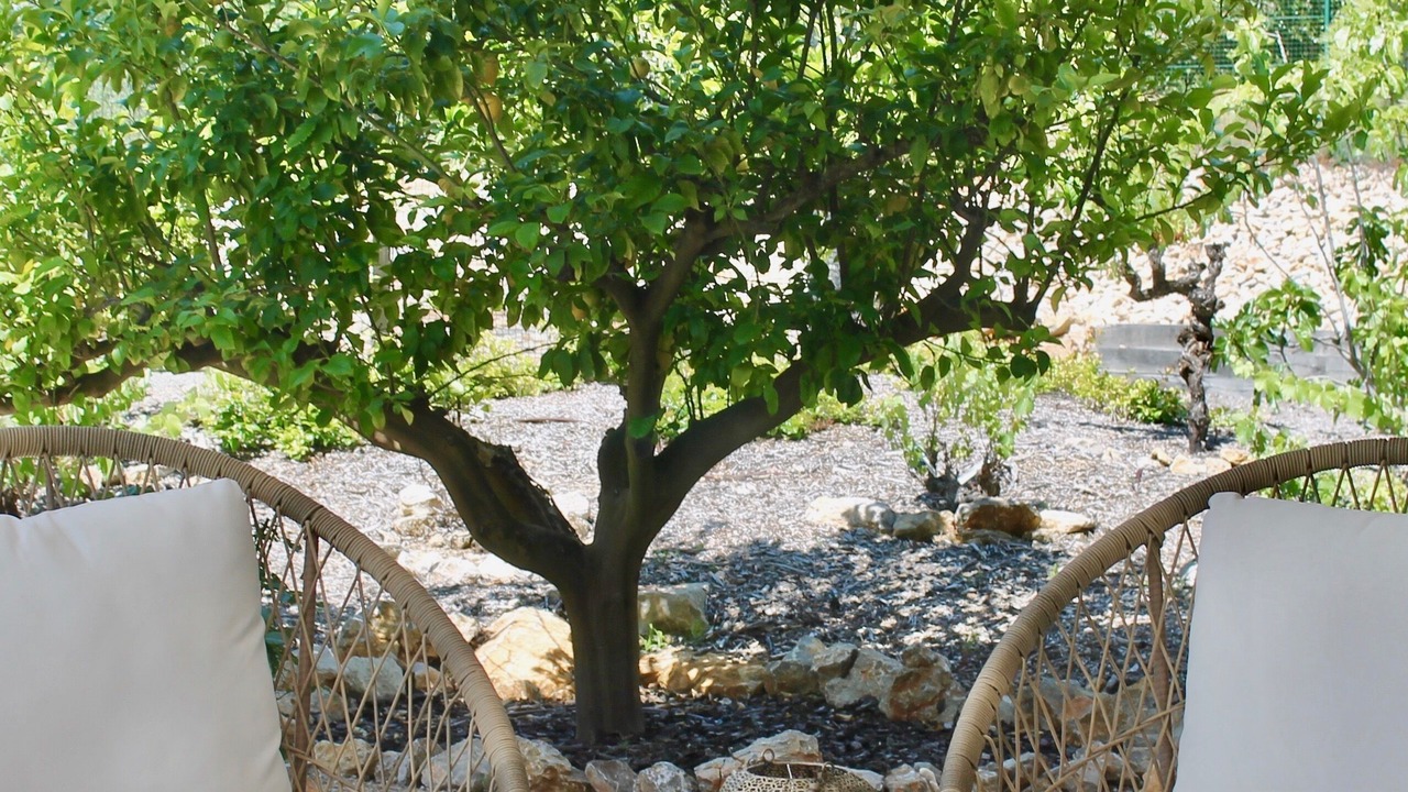 Photo of Outdoor in Tourrettes