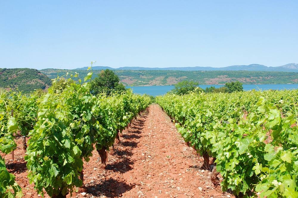 Photo of Outdoor in Pomerols