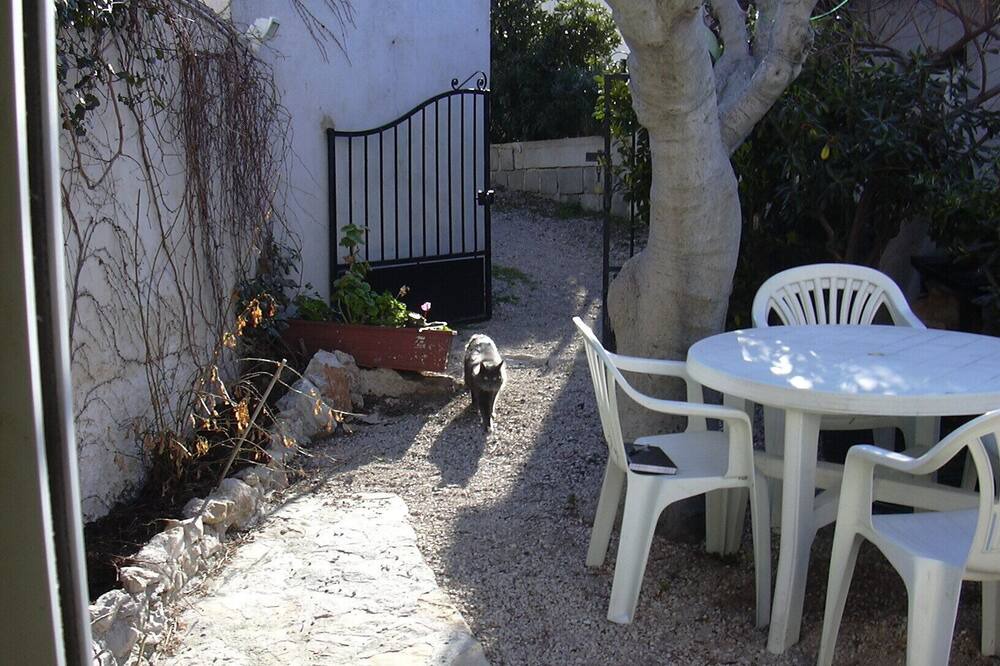 Photo of Patio Balcony in 8th Arrondissement