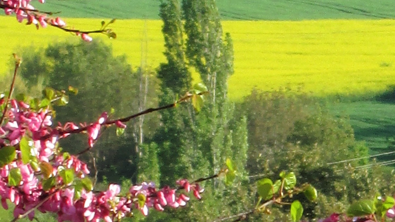 Photo of Outdoor in Reillanne