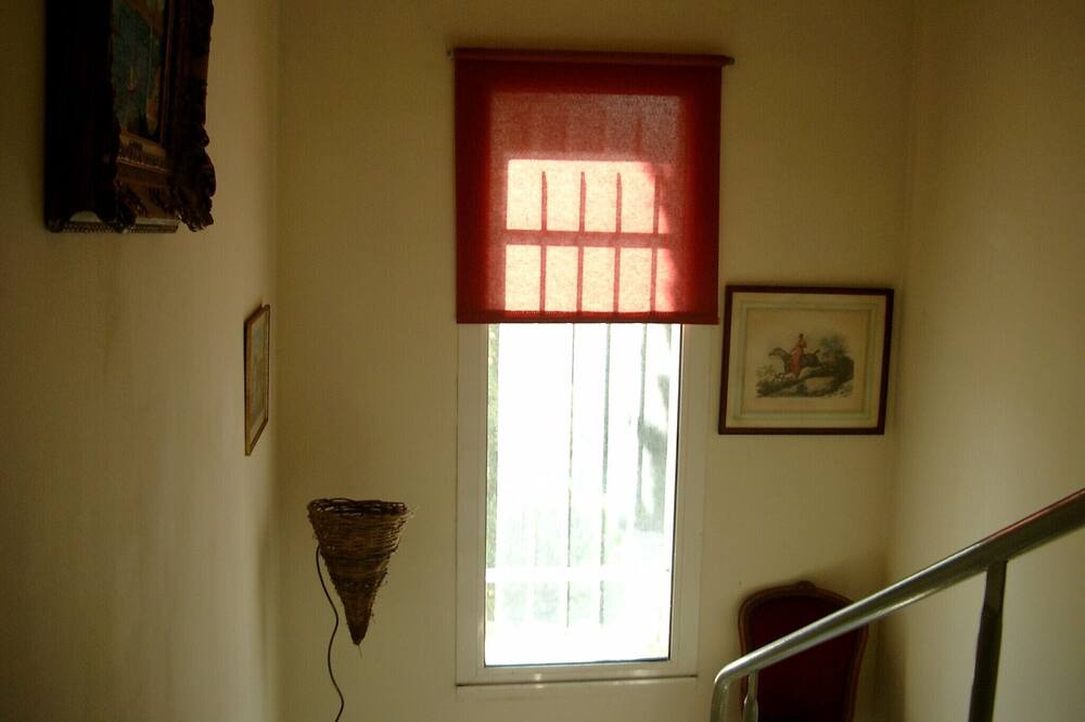 Photo of Others in Arles