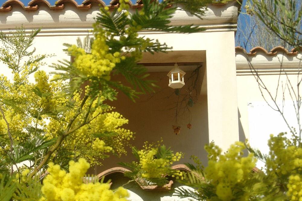 Photo of Outdoor in Arles