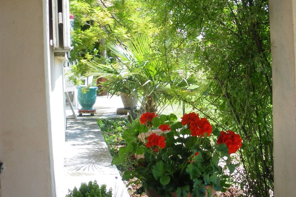 Photo of Outdoor in Arles