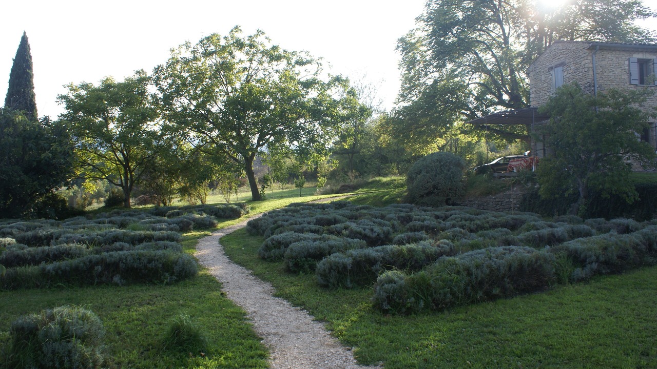 Photo of Outdoor in Saint-Martin-de-Castillon
