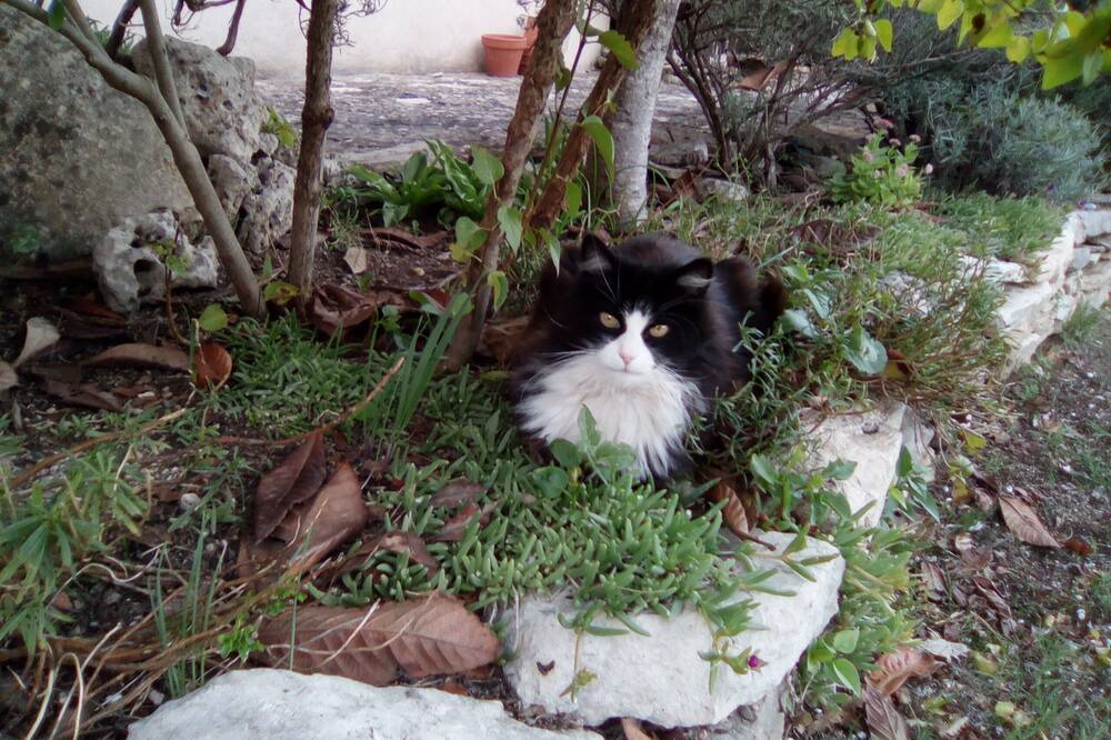 Photo of Outdoor in Reillanne