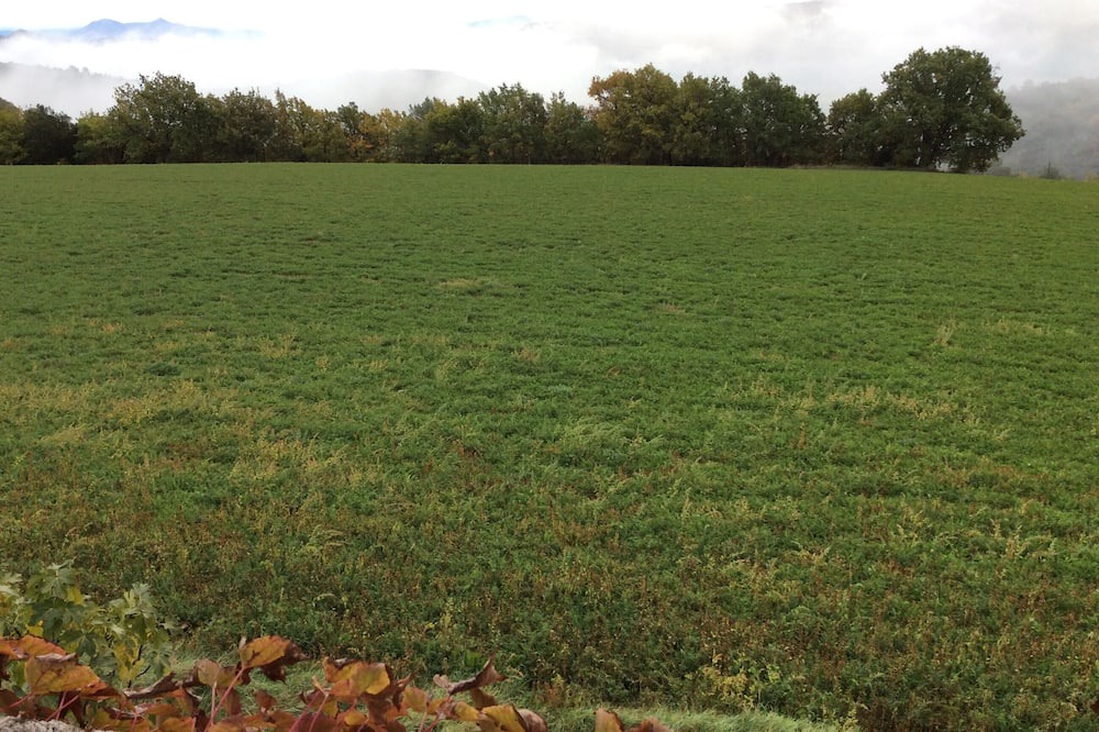 Photo of Outdoor in Montfort