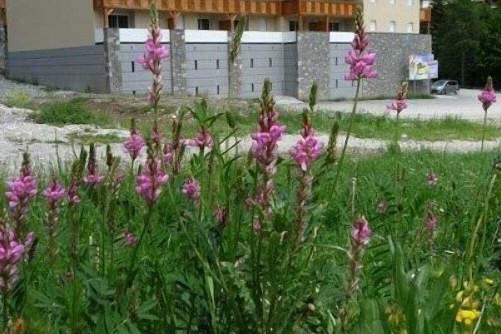 Photo of Outdoor in Allos