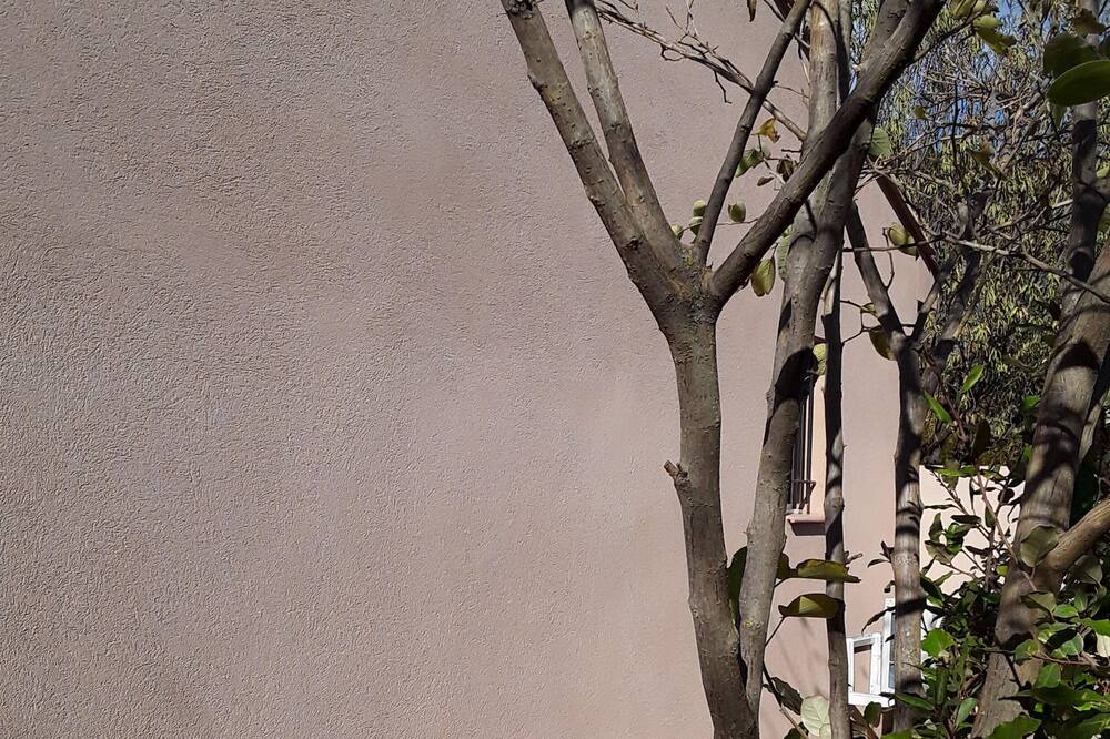 Photo of Others in Cuges-les-Pins