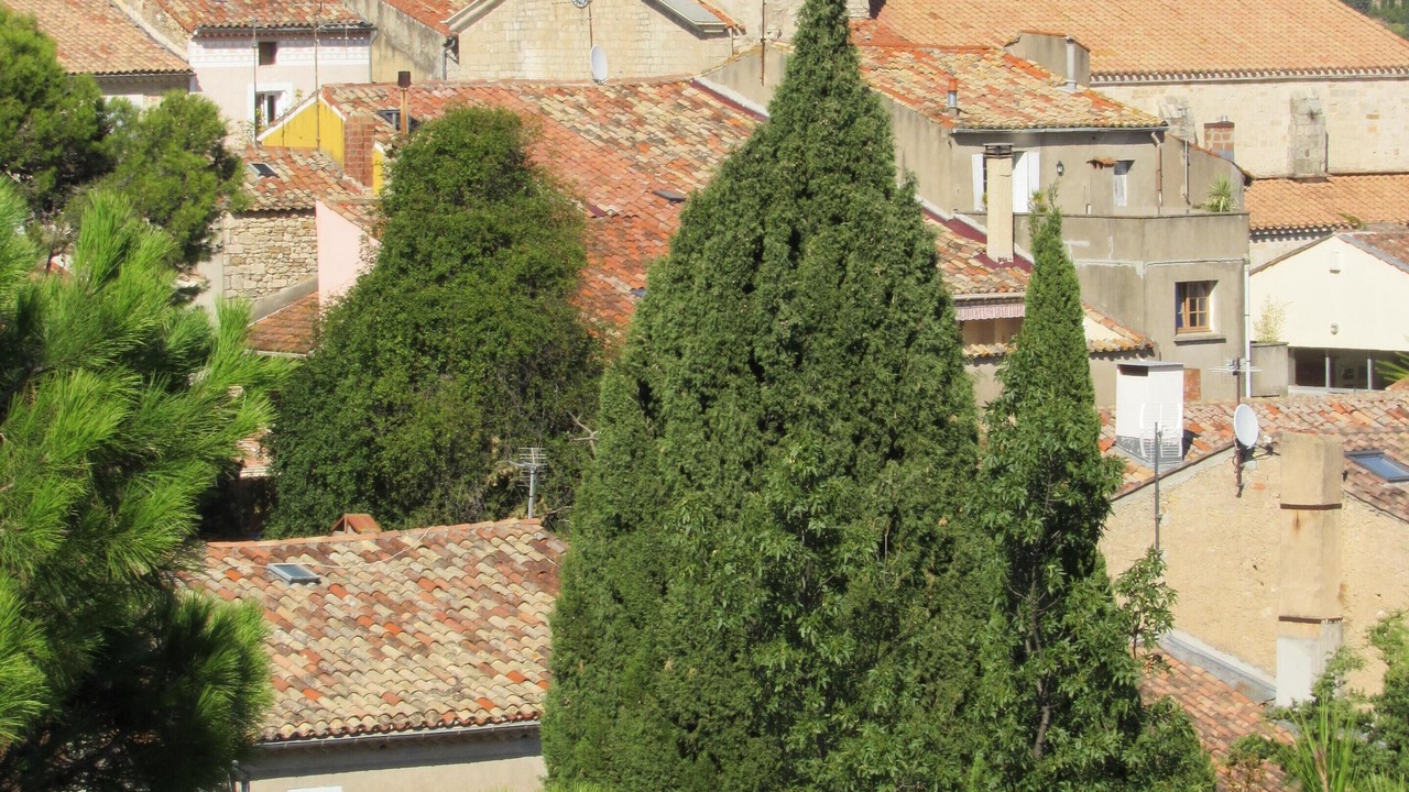 Photo of Outdoor in Magalas