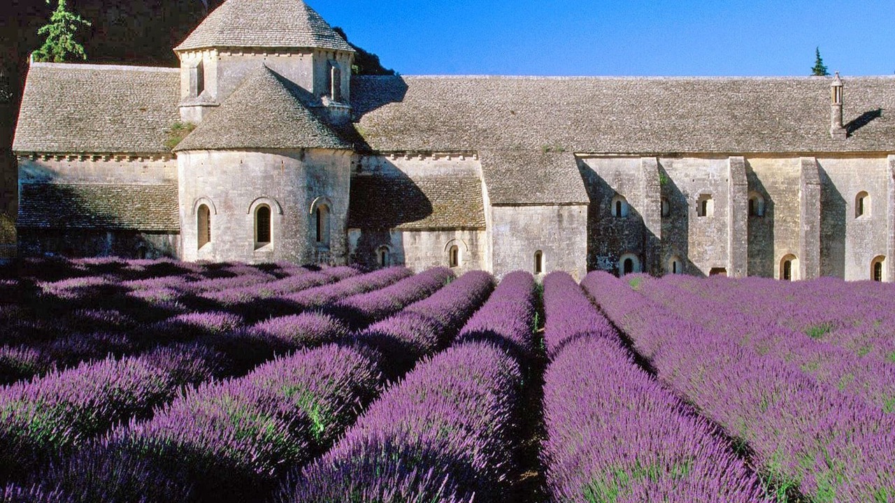 Photo of Outdoor in Cucuron