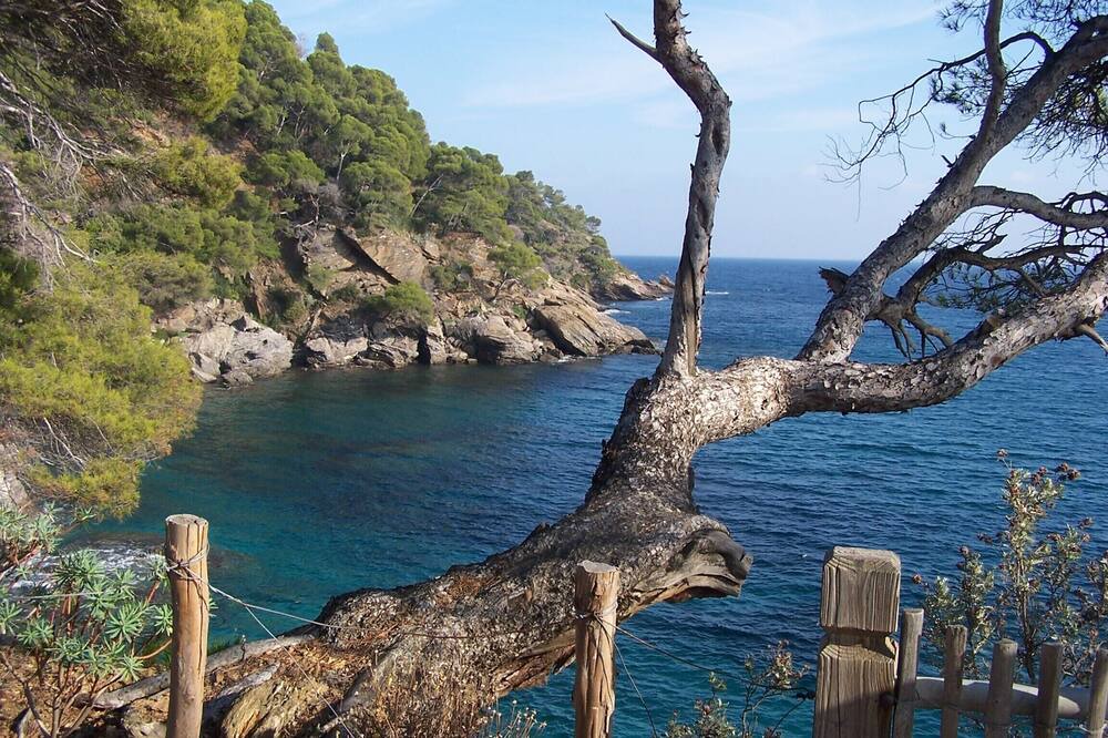 Photo of Others in Montferrat
