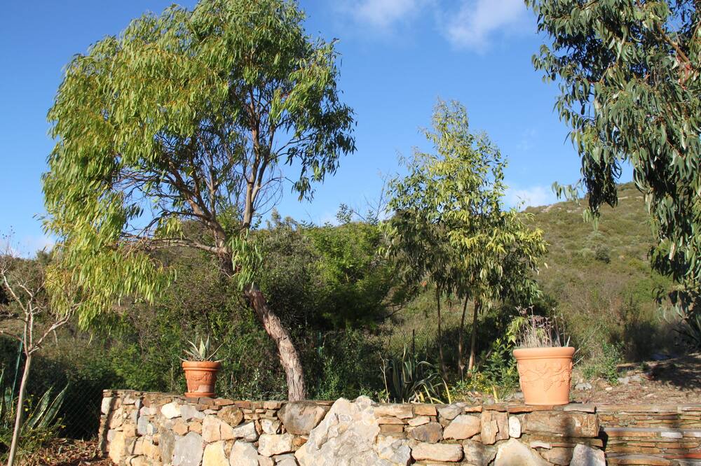 Photo of Outdoor in Roquebrun